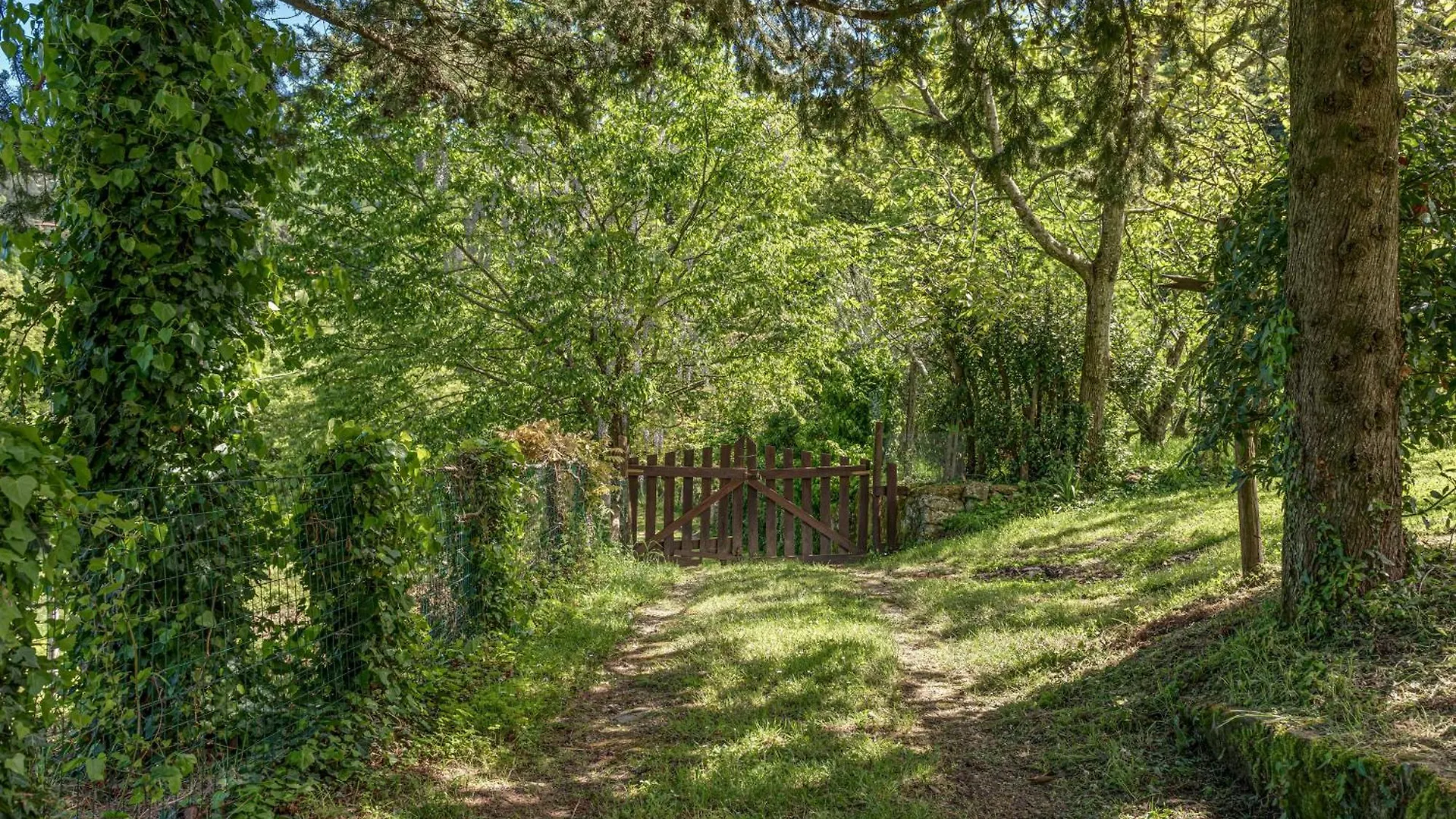 Mulino Con Piscina Vicino Firenze Villa Londa Holiday home